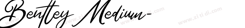 Bentley Medium字体转换